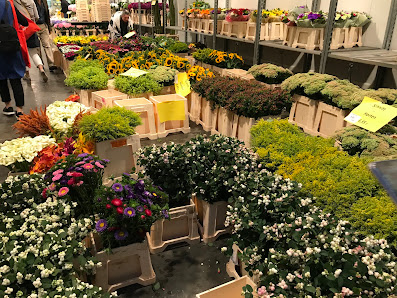 Peter Skowasch e. K. Blumengrosshandel - Import
