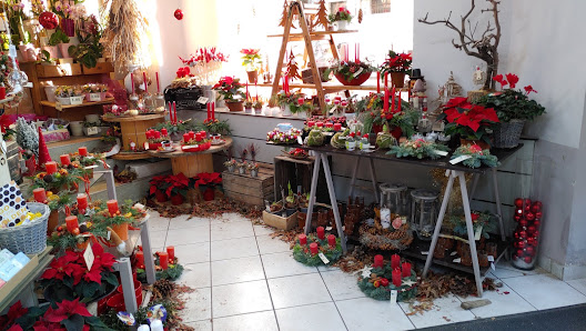 Flora's Markt (Inh. J.Beinhorn)