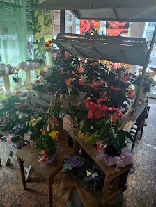 Blumengeschäft Sonnenblume