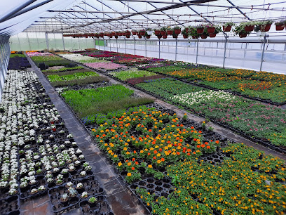 Gartenbauer