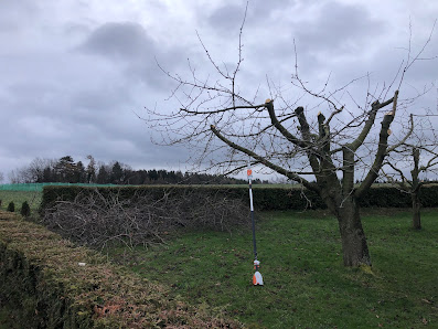 Baum- & Gartenpflege Kuhnke