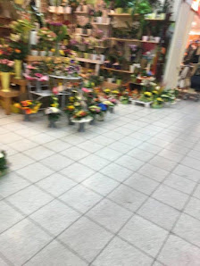 Floribunda GmbH