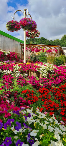 Grünthaler Blumenhaus
