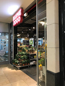 BLUME2000 Zwickau Arcaden