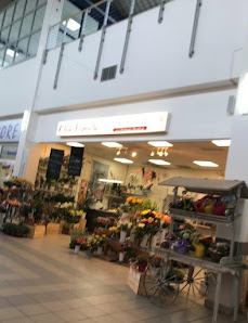 Floribunda GmbH