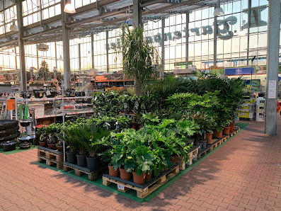 OBI Gartencenter Zwickau