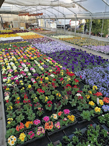 Blumenhaus Kreis