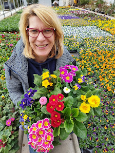 Blumenhaus Kreis