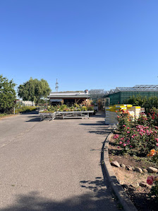 Gärtnerei Torgau | Elbaue-Werkstätten gGmbH