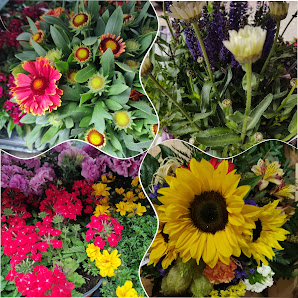 Blumenhaus am Markt - Katja Häntzsch