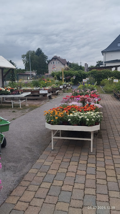 Gärtnerei & Pflanzenmarkt Grünert GbR