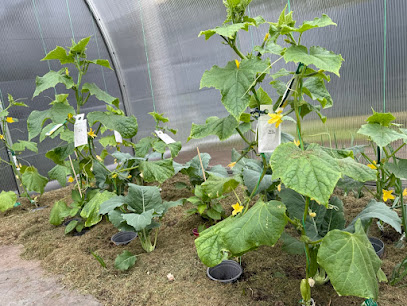 Gartencenter