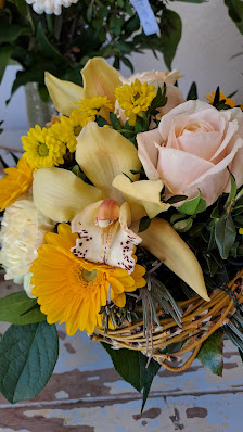 Blumenladen Helianthus