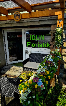 IDUN