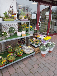 Dein Blumenladen Inh. Wigbert Krause