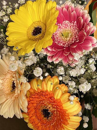 Schnittblumen & Topfpflanzen Handels GmbH Floristik 99