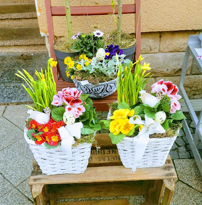 Blumenstübchen Zufelde