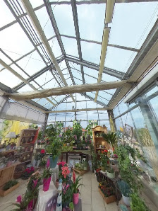 Blumenhaus Mitschurin - Mitschurin Galabau & Technik GmbH