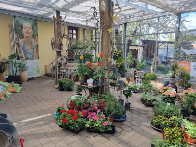 Blumenhaus Mitschurin - Mitschurin Galabau & Technik GmbH