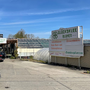 Glücksklee Blumen Gartenbau Verkaufsgärtnerei