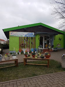 Floristikfachgeschäft Vergißmeinnicht