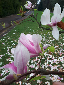 Blumenhalle am Ostfriedhof