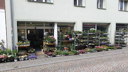 Blumen & Pflanzen Man Thi Duyen