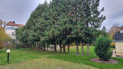 Mansfeld