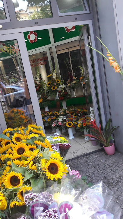 City Blumen