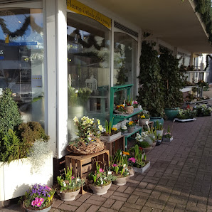 Blumenhaus Wittmaack oHG