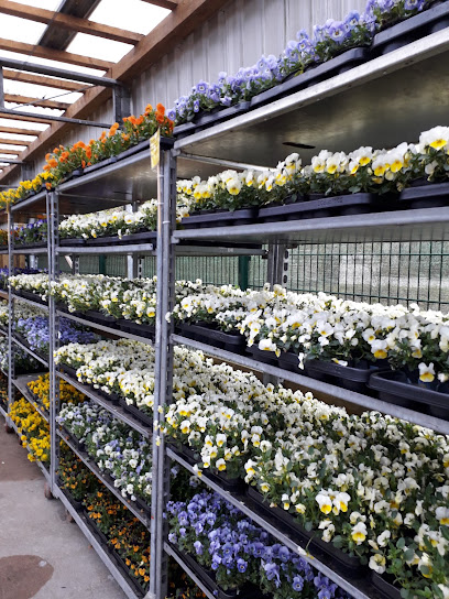Frey Blumenparadies