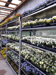 Frey Blumenparadies