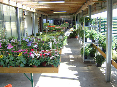Frey Blumenparadies