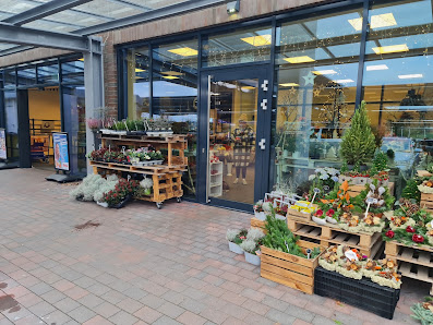 Blumen im Famila Markt