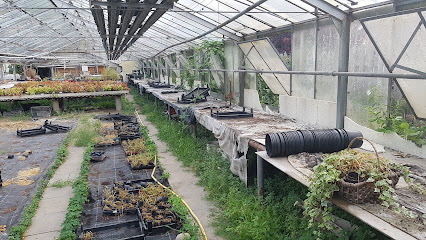 Gartenbauer