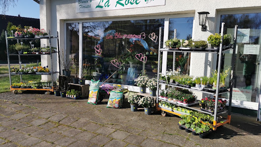La Rose Inh Heiko Behne Gartenbau