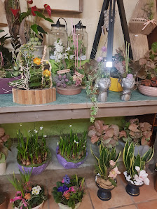Blumenfachgeschäft Mayflower