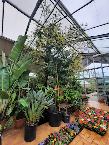 Gartencenter Enders oHG