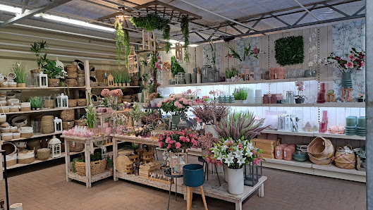 Blumen Möbius GmbH