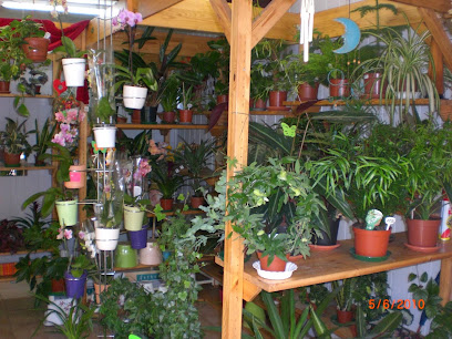 Blumengeschäft