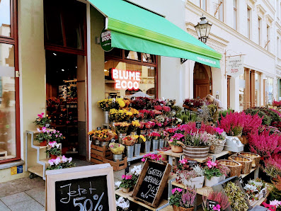 BLUME2000 Wittenberg