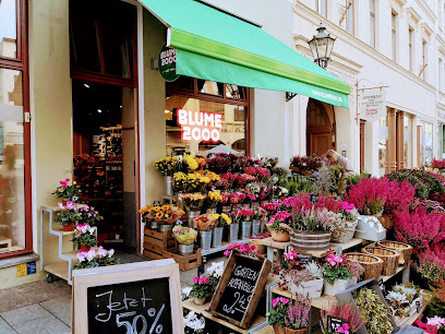 BLUME2000 Wittenberg