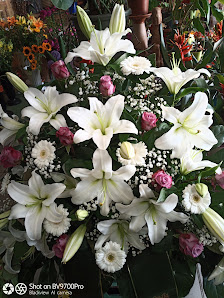 Blumen ohne Ende