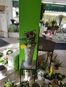Blumen-Galerie Weiche