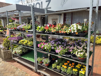 Blumen Buchholz
