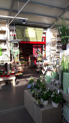 Blumen Scheumann