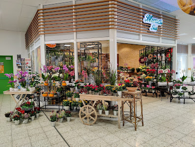 Blumen Sia