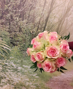 Blumen Sia
