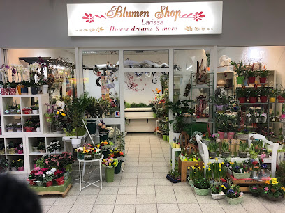 Blumenshop Larissa