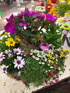 Jonny und Violetta Blumenparadies